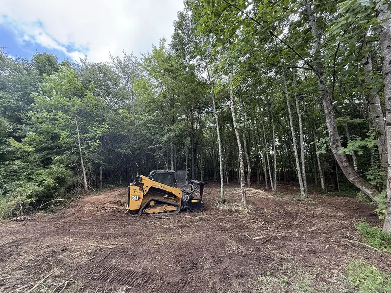 Land Clearing & Excavation