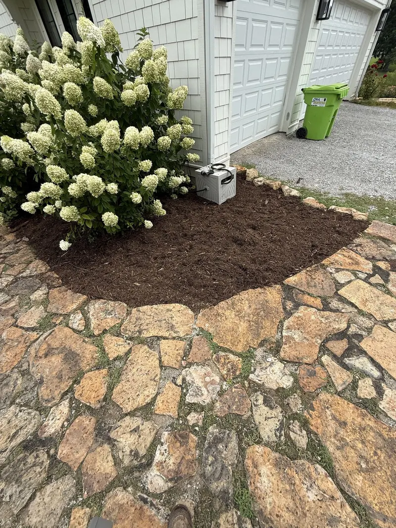 Walkway Landscaping