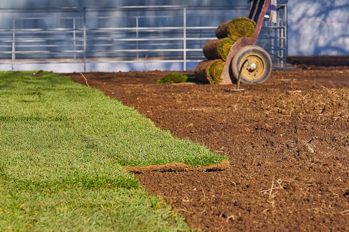 Fresh sod being laid against newly graded soil