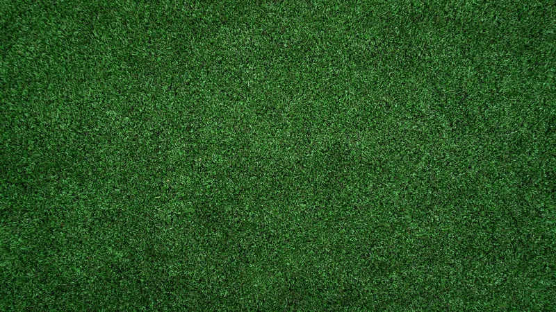Artificial Turf Installation